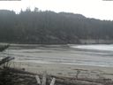 ./images/calvert/beach/20180405/beach20180405_113501.jpg