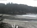 ./images/calvert/beach/20180407/beach20180407_123001.jpg