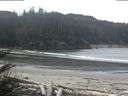 ./images/calvert/beach/20180409/beach20180409_110002.jpg