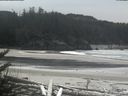 ./images/calvert/beach/20180409/beach20180409_135503.jpg