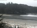 ./images/calvert/beach/20180423/beach20180423_115002.jpg