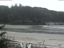 ./images/calvert/beach/20180502/beach20180502_112002.jpg