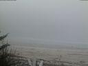 ./images/calvert/beach/20180508/beach20180508_061502.jpg