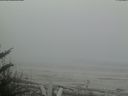 ./images/calvert/beach/20180508/beach20180508_101002.jpg