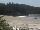 ./images/calvert/beach/20180524/beach20180524_134503.jpg