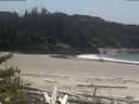 ./images/calvert/beach/20180524/beach20180524_141002.jpg