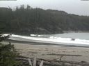 ./images/calvert/beach/20180601/beach20180601_180503.jpg