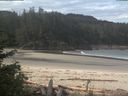 ./images/calvert/beach/20180604/beach20180604_092503.jpg