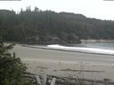 ./images/calvert/beach/20180608/beach20180608_124502.jpg