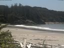 ./images/calvert/beach/20180610/beach20180610_135002.jpg