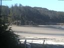 ./images/calvert/beach/20180713/beach20180713_090503.jpg