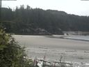 ./images/calvert/beach/20180718/beach20180718_123003.jpg