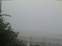 ./images/calvert/beach/20180723/beach20180723_212503.jpg