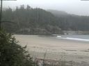 ./images/calvert/beach/20180724/beach20180724_081002.jpg