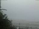 ./images/calvert/beach/20180724/beach20180724_215002.jpg