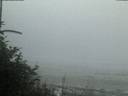 ./images/calvert/beach/20180724/beach20180724_215503.jpg