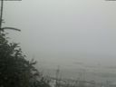 ./images/calvert/beach/20180726/beach20180726_090503.jpg