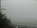 ./images/calvert/beach/20180726/beach20180726_160503.jpg