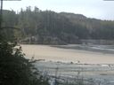 ./images/calvert/beach/20180728/beach20180728_084502.jpg