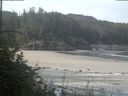 ./images/calvert/beach/20180728/beach20180728_085002.jpg