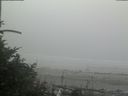 ./images/calvert/beach/20180728/beach20180728_143002.jpg