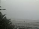 ./images/calvert/beach/20180728/beach20180728_160503.jpg