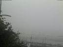 ./images/calvert/beach/20180728/beach20180728_202002.jpg