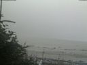 ./images/calvert/beach/20180728/beach20180728_204502.jpg