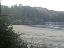 ./images/calvert/beach/20180729/beach20180729_081002.jpg