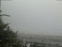 ./images/calvert/beach/20180729/beach20180729_145001.jpg