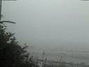 ./images/calvert/beach/20180730/beach20180730_215002.jpg