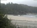 ./images/calvert/beach/20180803/beach20180803_100501.jpg