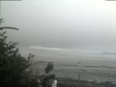 ./images/calvert/beach/20180805/beach20180805_162502.jpg