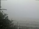 ./images/calvert/beach/20180807/beach20180807_063002.jpg