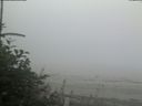 ./images/calvert/beach/20180807/beach20180807_064002.jpg