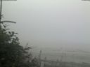 ./images/calvert/beach/20180807/beach20180807_070503.jpg
