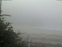 ./images/calvert/beach/20180807/beach20180807_073002.jpg