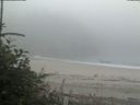 ./images/calvert/beach/20180807/beach20180807_075503.jpg