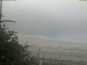 ./images/calvert/beach/20180807/beach20180807_083002.jpg