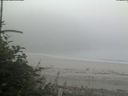 ./images/calvert/beach/20180807/beach20180807_084002.jpg