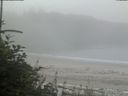 ./images/calvert/beach/20180807/beach20180807_101502.jpg