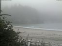 ./images/calvert/beach/20180807/beach20180807_104502.jpg