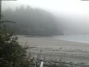 ./images/calvert/beach/20180807/beach20180807_151503.jpg