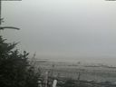 ./images/calvert/beach/20180807/beach20180807_153502.jpg