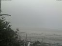 ./images/calvert/beach/20180807/beach20180807_165002.jpg