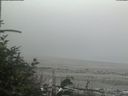 ./images/calvert/beach/20180808/beach20180808_140501.jpg