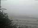 ./images/calvert/beach/20180809/beach20180809_063003.jpg