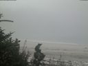./images/calvert/beach/20180809/beach20180809_112503.jpg