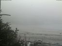 ./images/calvert/beach/20180809/beach20180809_160501.jpg