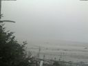 ./images/calvert/beach/20180809/beach20180809_192503.jpg